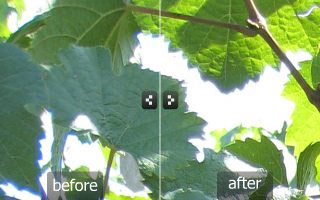 Chromatic Aberration Removal