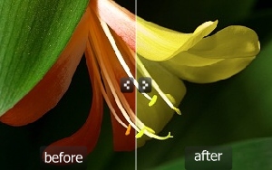 Color Shifting