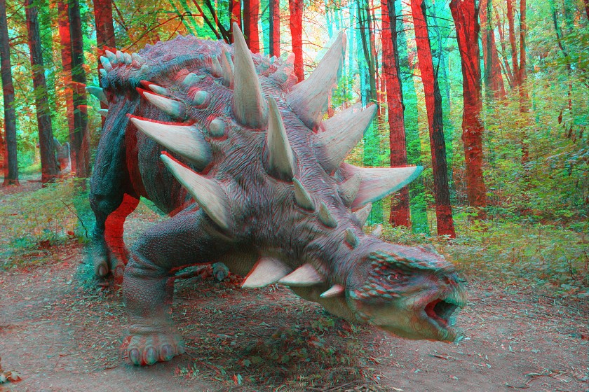 Anaglyph Picture