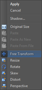 The right-click menu for Place Image