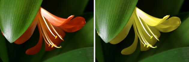 Changing Selected Colors in a Picture