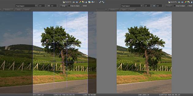 Cropping Pictures