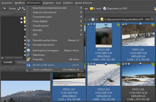 Batch Edit EXIF affects only selected files