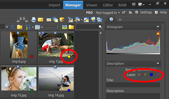 Giving Photos Colored Labels