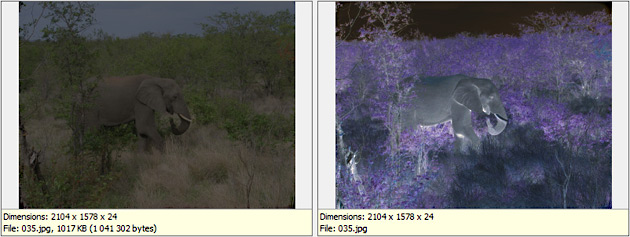 Improving Exposure with Histogram Curves