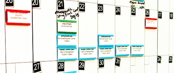 Organize Your Photo Collection