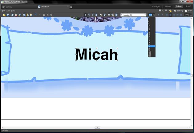 Fine-tuning the Title text
