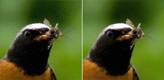 Pictures before and after noise removal