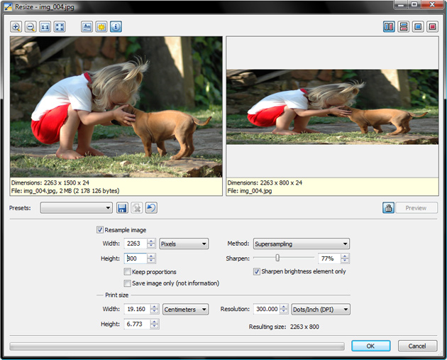 Basic picture resizing window