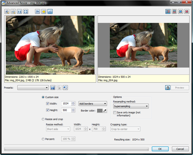 Advanced Resize window