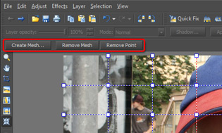Use the three buttons on the Options toolbar to help set up the Mesh