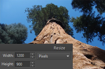 Shrinking pictures for the Web