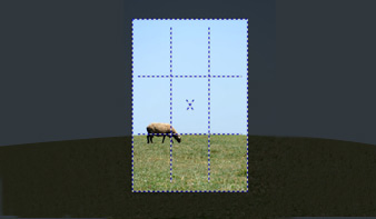 Straightening and Cropping Photos