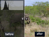 Improving Exposure by Editing Levels