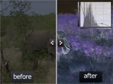 Improving Exposure with Histogram Curves