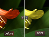 Changing Selected Colors in a Picture