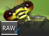 Maximize Your RAW Support