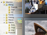 Organize Your Photo Collection