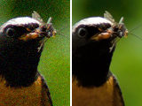 Noise Reduction