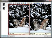 thn_22-dialog-compare-pictures.jpg