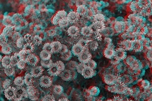 3Dイメージ