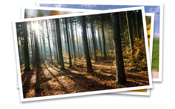 Галерея Фотографий Фото Галерея Фотографий Фото