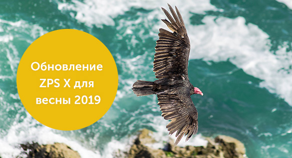 ZPS X: весеннее обновление 2019