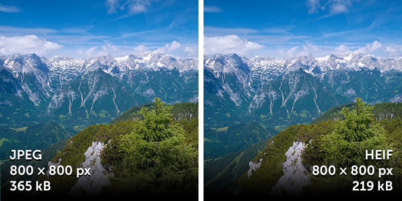 Zoner Photo Studio X Brings the Future of Image Storage