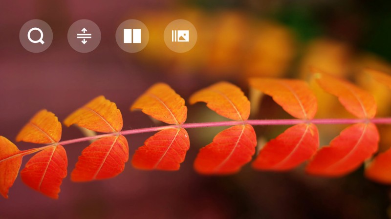 Zoner Studio Herbst-Update 2025