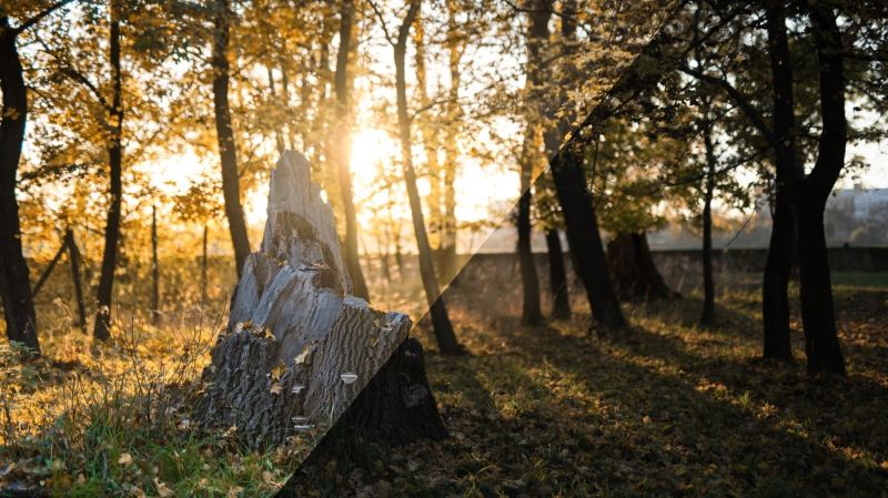 Wie bearbeitet man Fotos im RAW-Format? Ein paar Klicks zum perfekten Foto