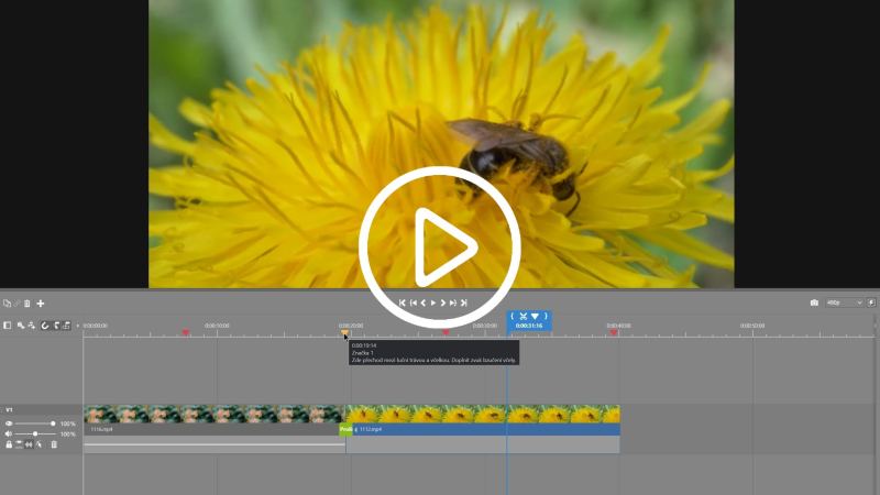 Übersichtlichere Videoprojekte mit Marken